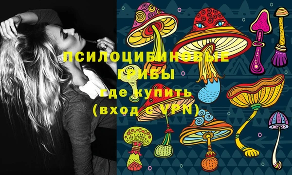 apvp Верхний Тагил