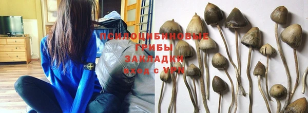apvp Верхний Тагил