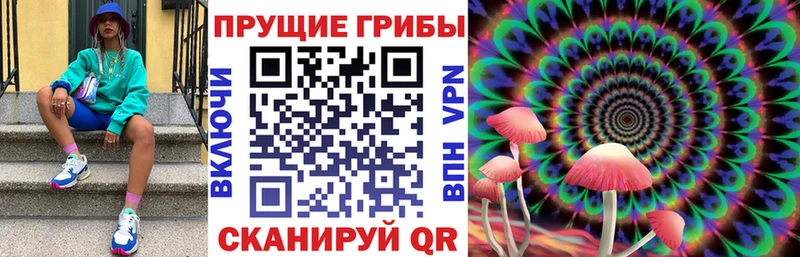 Псилоцибиновые грибы Cubensis  МЕГА как зайти  Пересвет  наркотики 
